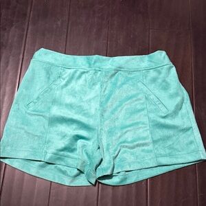 Crazy Train High Waist Teal Suede Shorts